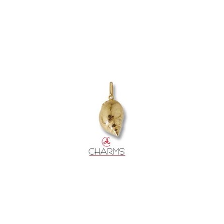 Charms Conchiglia grande in Oro
