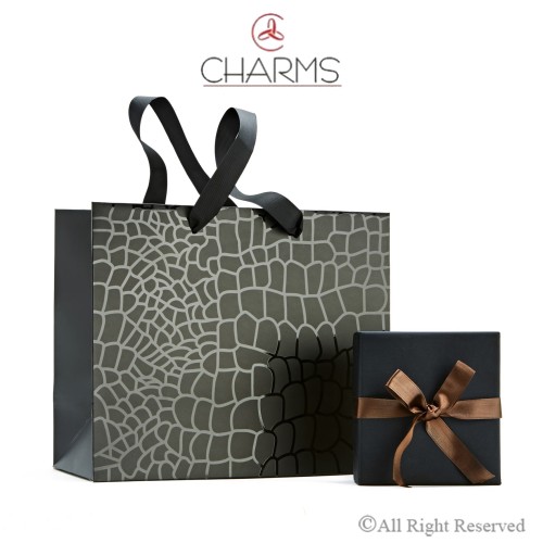 Charms Cassaforte Pendente