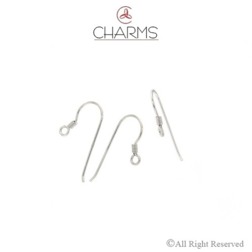 Orecchino ad amo a filo tondo con molla