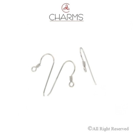 Orecchino ad amo a filo tondo con molla