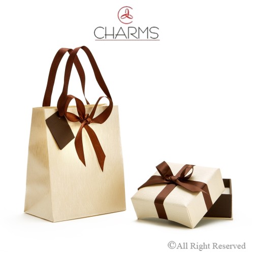 confezione gioielli Charms