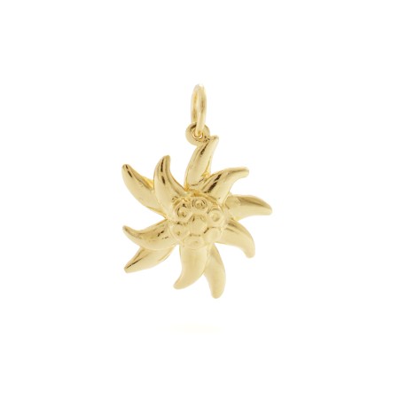 Charm a forma di Stella Alpina in argento 925 in vista frontale | Charms.it