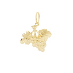 Charm a forma di grappolo d’uva Ruby Roman in argento 925 | Charms.it